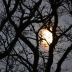 The November Full Moon  - Scorpio, Testing Your Soul, Testing You