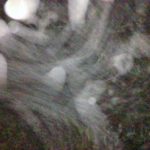 Your Part in Our Expanding Universe