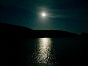 Black holes and portals