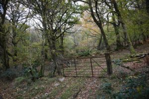 Back to the old ways