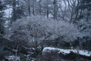 coming to your senses