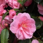 A Sombre, Blessed Easter