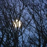 Life and Death at the Hunters’ Moon