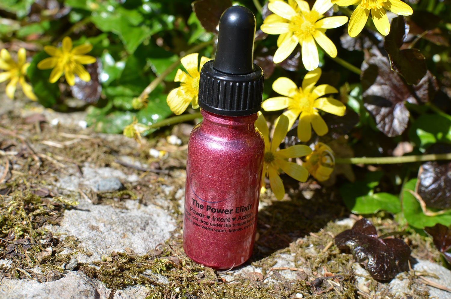 Ray 1 Elixir for Power and Transformation