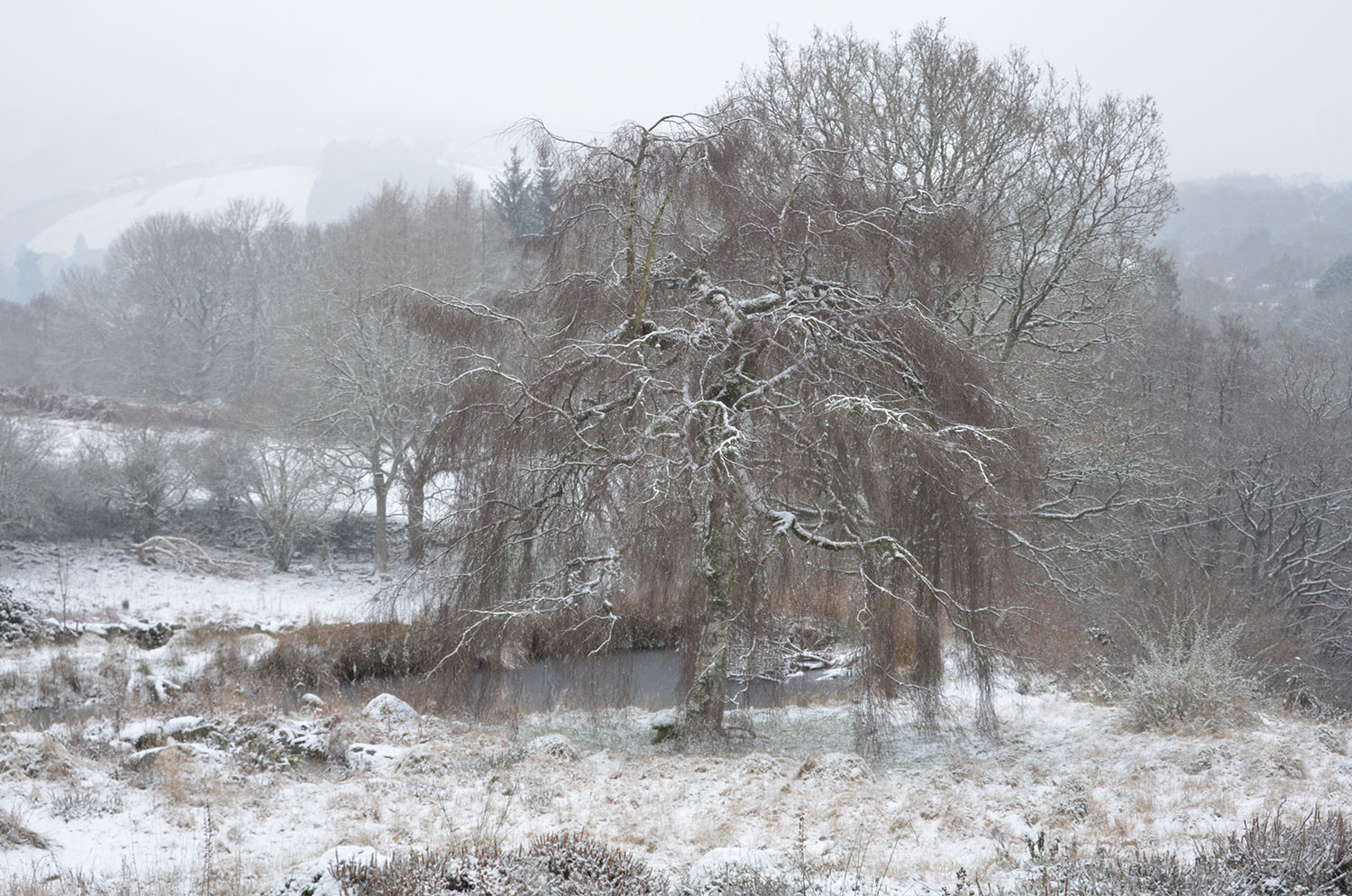 Meditation for the December Solstice 2025