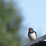 Earth Change, Climate Change