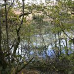 Putin and the Will to Good